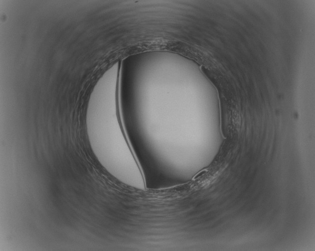 X0000078850818200611130932