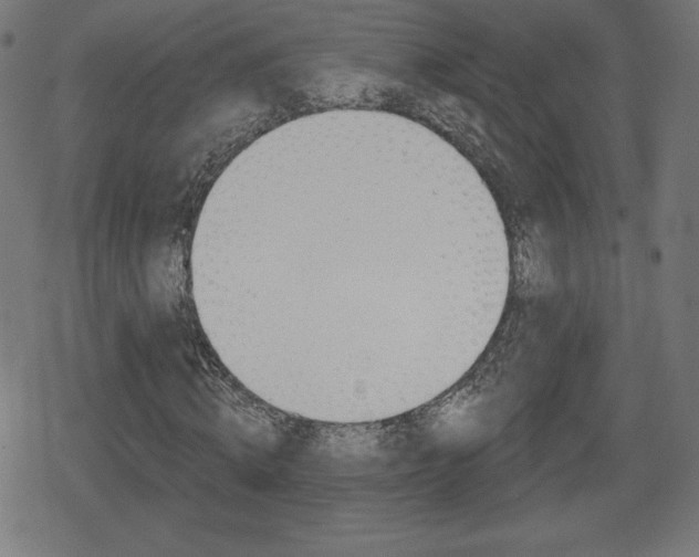 X0000078850820200611130932