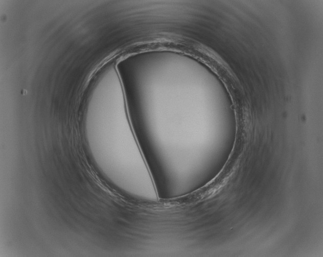 X0000078850826200611130932