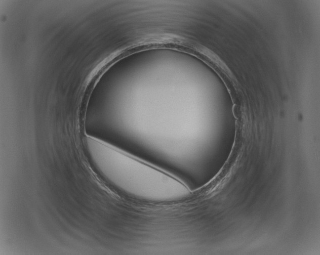 X0000078850834200611130932