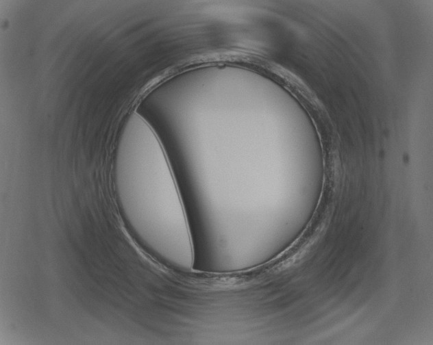 X0000078850841200611130932