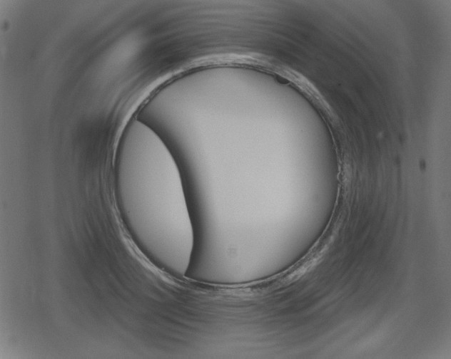 X0000078850844200611130932