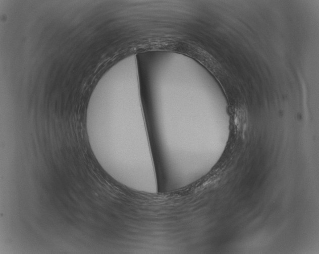 X0000078850867200611130932