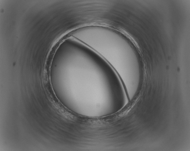 X0000078850876200611130932