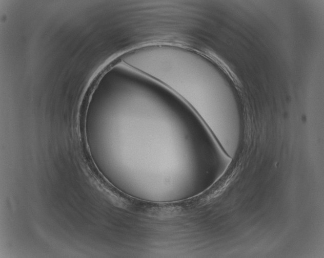 X0000078850884200611130932