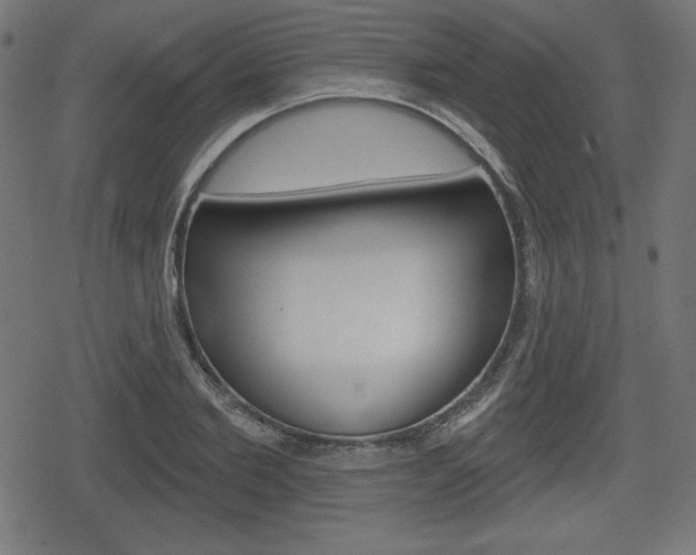 X0000078850885200611130932