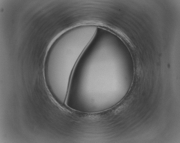 X0000078850888200611130932
