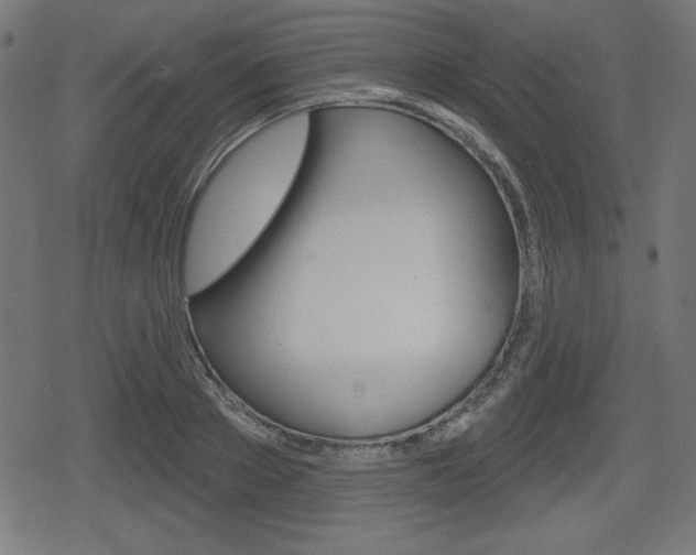 X0000078850889200611130932