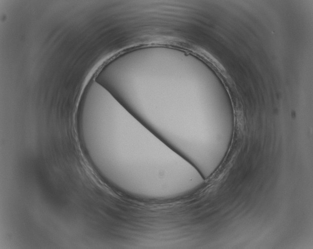 X0000078850891200611130932