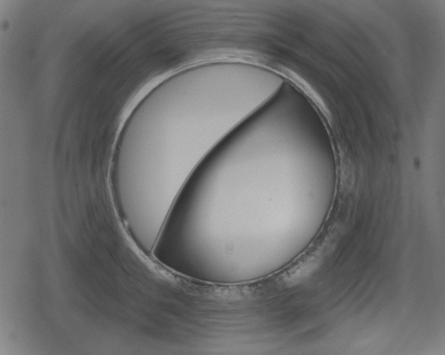 X0000078850901200611130931