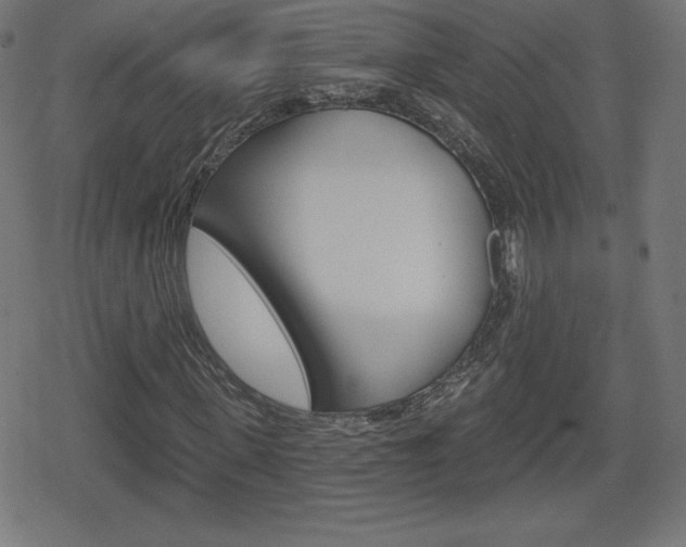X0000078850915200611130931