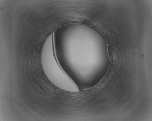 X0000078850916200611130931