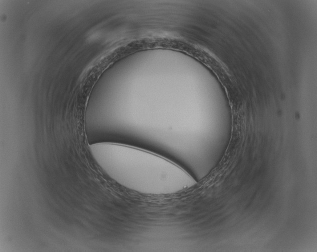 X0000078850919200611130931