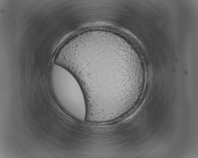 X0000078850921200611130931
