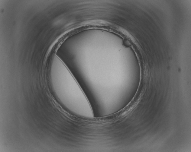 X0000078850923200611130931