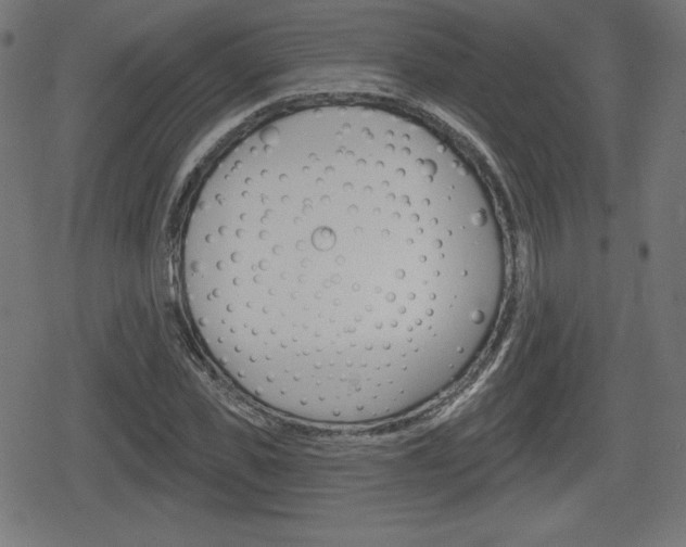 X0000078850925200611130931