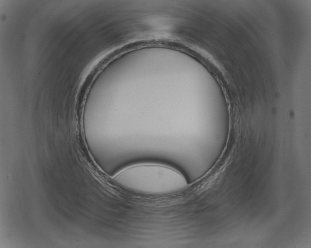 X0000078850927200611130931