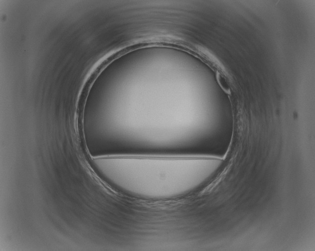 X0000078850932200611130931