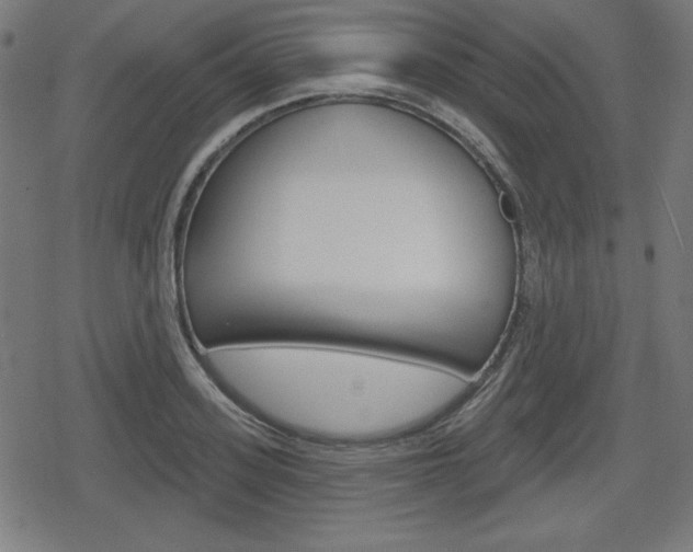 X0000078850939200611130931