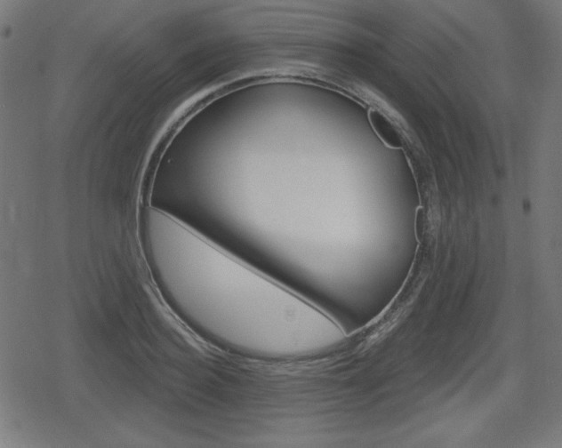 X0000078850940200611130931