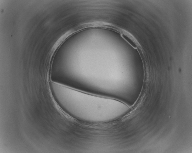 X0000078850946200611130931