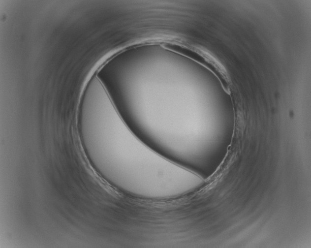 X0000078850948200611130931