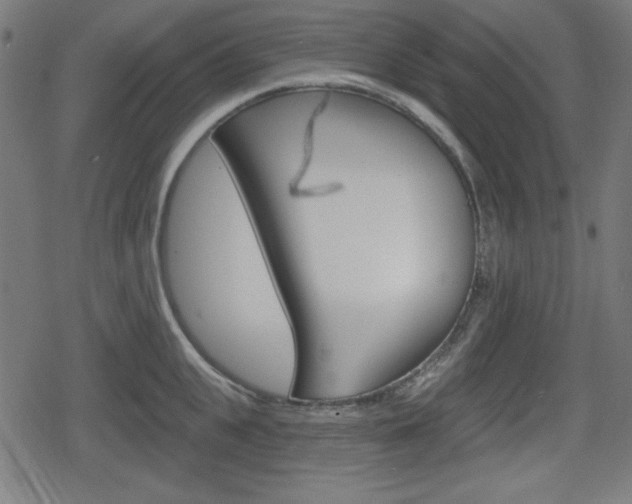 X0000078850951200611130931