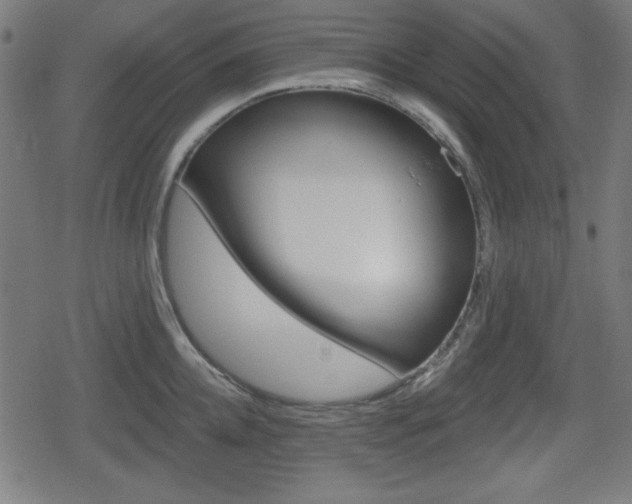 X0000078850952200611130931