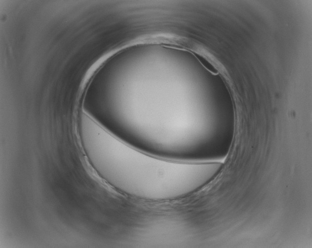 X0000078850960200611130931