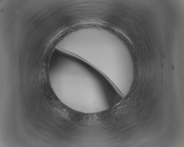 X0000078850968200611130930