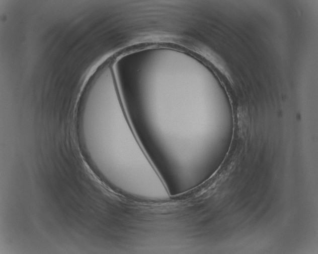 X0000078850972200611130930