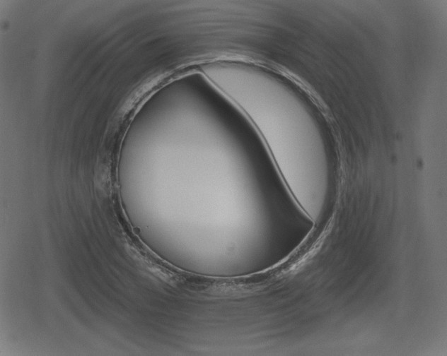 X0000078850977200611130930