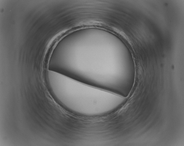 X0000078850979200611130930