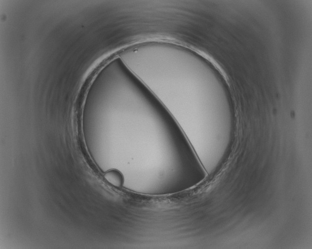 X0000078850983200611130930