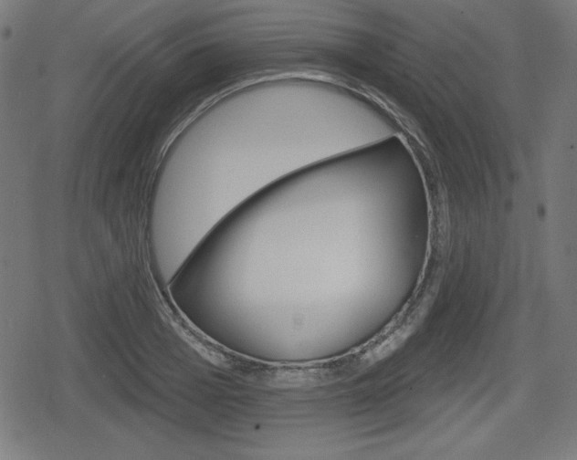 X0000078850985200611130930