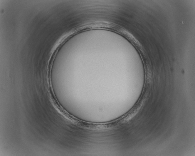 X0000078850986200611130930