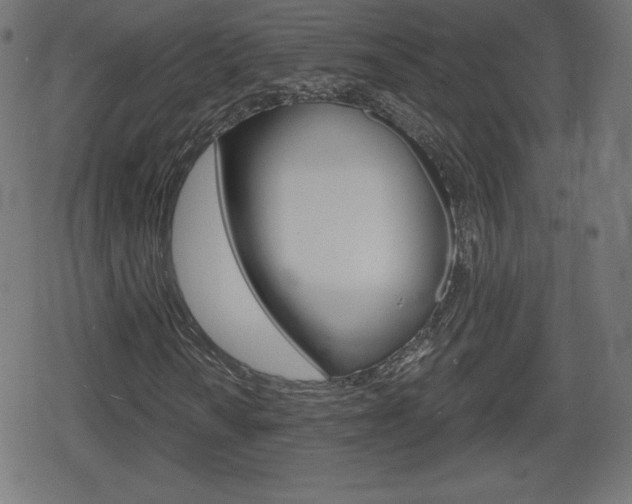 X0000078851010200611130929