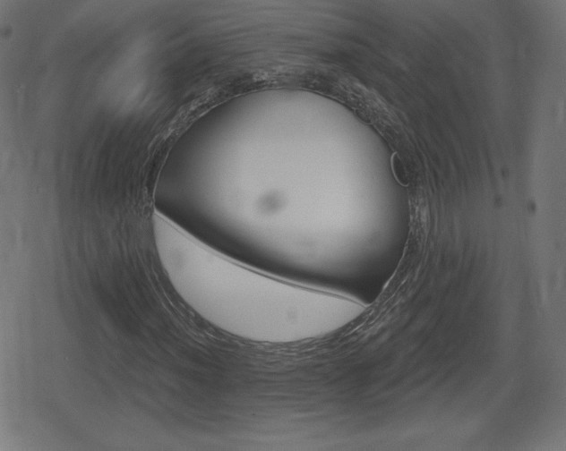 X0000078851012200611130929