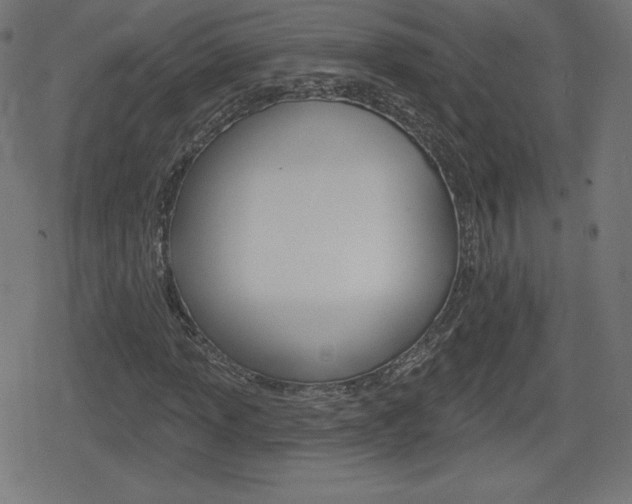 X0000078851013200611130929
