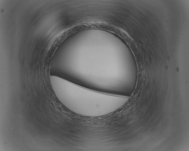 X0000078851016200611130929