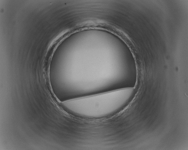 X0000078851018200611130929
