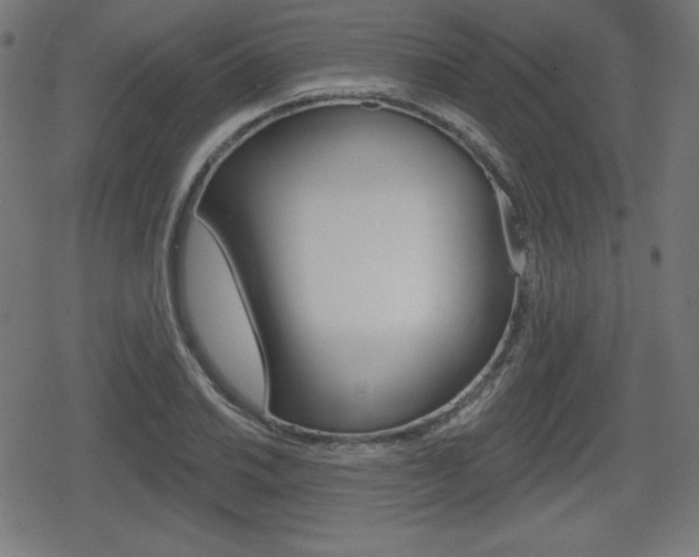 X0000078851030200611130929