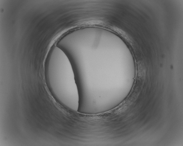 X0000078851031200611130929