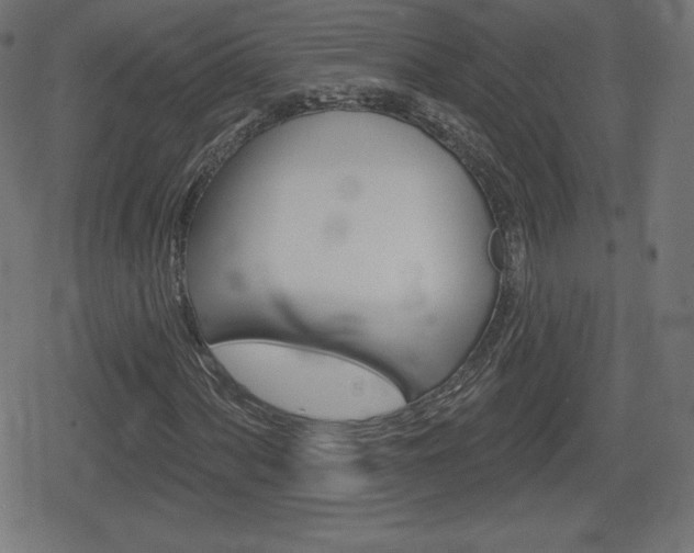 X0000078851060200611130929