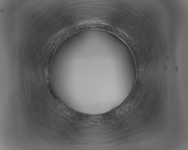 X0000078851062200611130929