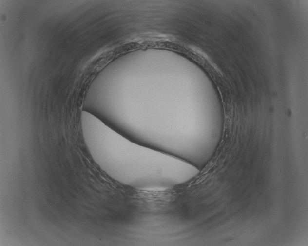 X0000078851063200611130929