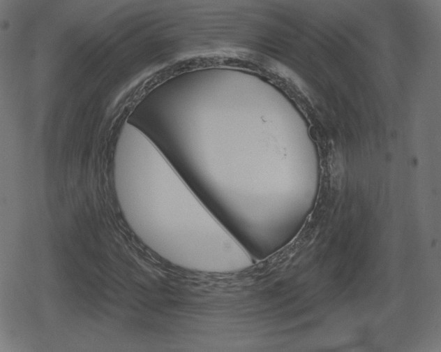 X0000078851064200611130929