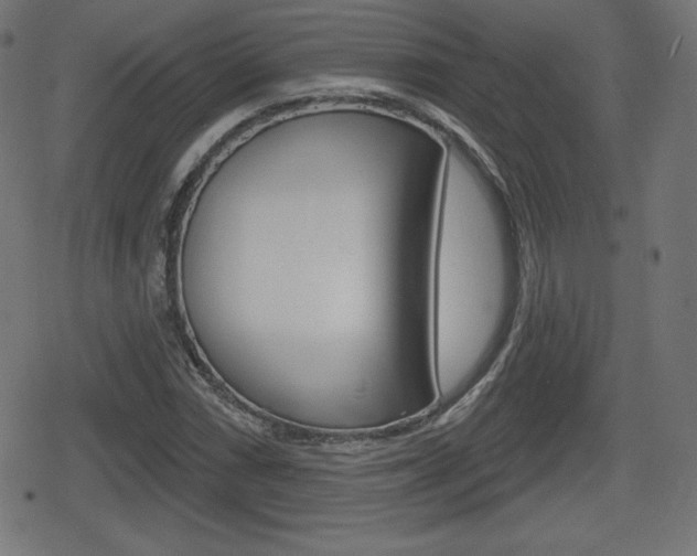 X0000078851066200611130929