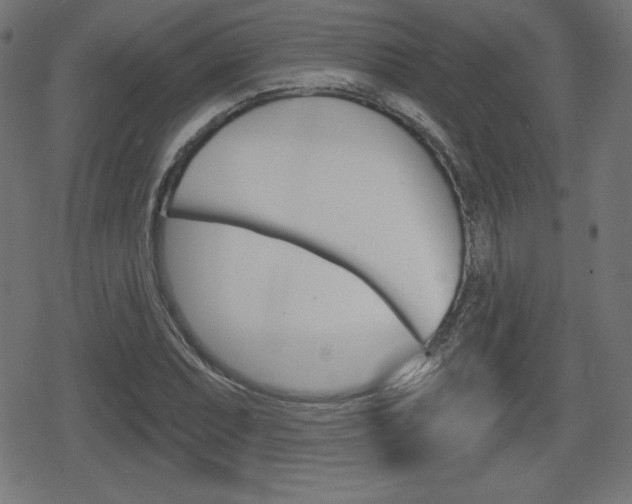 X0000078851071200611130929