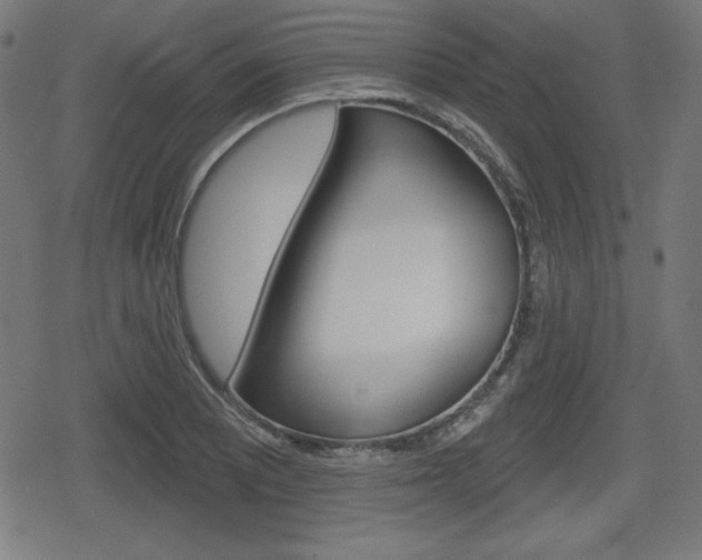 X0000078851081200611130928